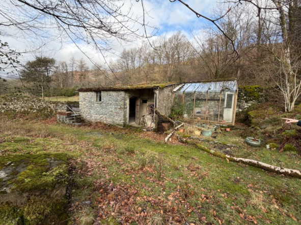 Merz barn, 2026